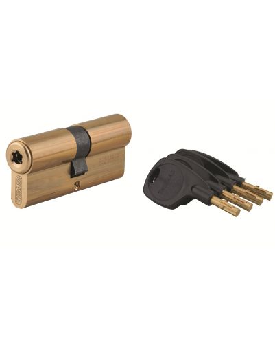 Cilindru usa cu dubla intrare Surveyor, 36x36mm, alama, anti-smulgere, 4 chei - 1