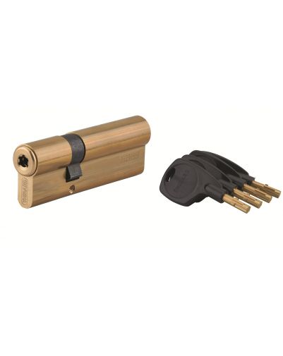 Cilindru usa cu dubla intrare Surveyor, 31x66mm, alama, anti-smulgere, 4 chei - 1