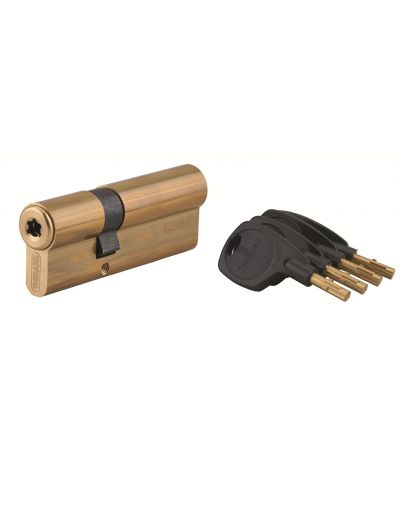 Cilindru usa cu dubla intrare Surveyor, 31x61mm, alama, anti-indepartare, 4 chei - 1