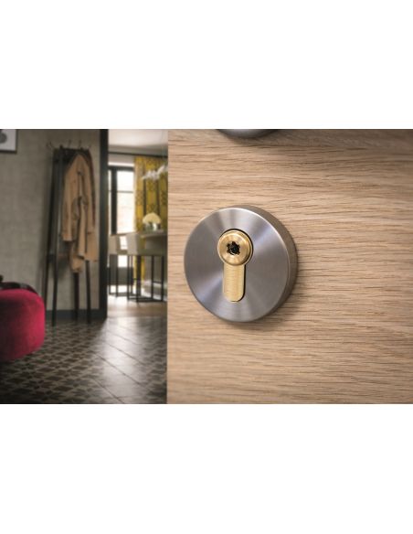 Cilindru usa cu dubla intrare Surveyor, 31x61mm, alama, anti-indepartare, 4 chei - 3