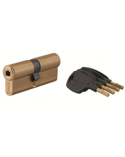 Cilindru usa cu dubla intrare Surveyor, 41x41mm, alama, anti-indepartare, 4 chei - 1