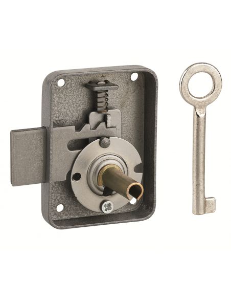 Incuietoare pentru mobilier Paris pentru usa de mobilier, dreapta, ax 30mm, 55x70mm, gri, 1 cheie - 1