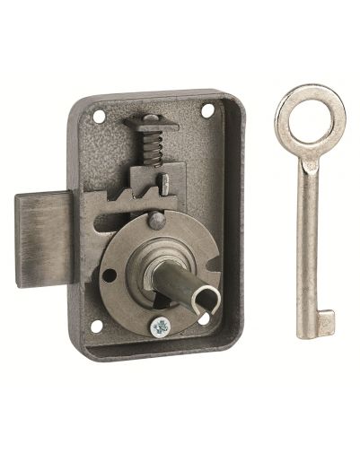 Incuietoare pentru mobilier Paris pentru usa de mobilier, dreapta, ax 25mm, 50x70mm, gri, 1 cheie - 1