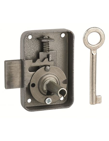 Incuietoare pentru mobilier Paris pentru usa de mobilier, dreapta, ax 25mm, 50x70mm, gri, 1 cheie - 1