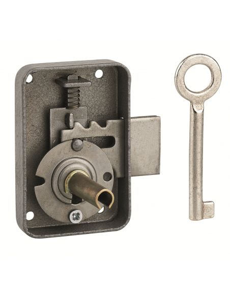 Incuietoare pentru mobilier Paris pentru usa de mobilier, stanga, ax 25mm, 50x70mm, gri, 1 cheie - 1