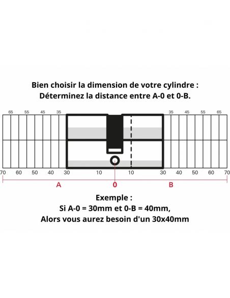 Set de 2 cilindri pentru incuietoare cu dubla intrare Trafic 6, 30x30mm, cheie unica, nichel, 10 chei, FU - 3