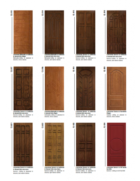 Usa de exterior blindata Lion RC 1.20, TESIO - 6