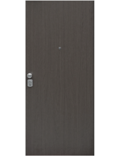 Usa de apartament blindata Lion RC 1.80, TESIO - 1