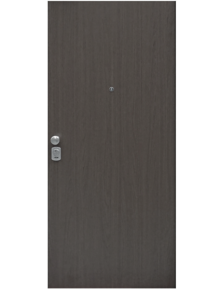 Usa de apartament blindata Lion RC 1.80, TESIO - 1