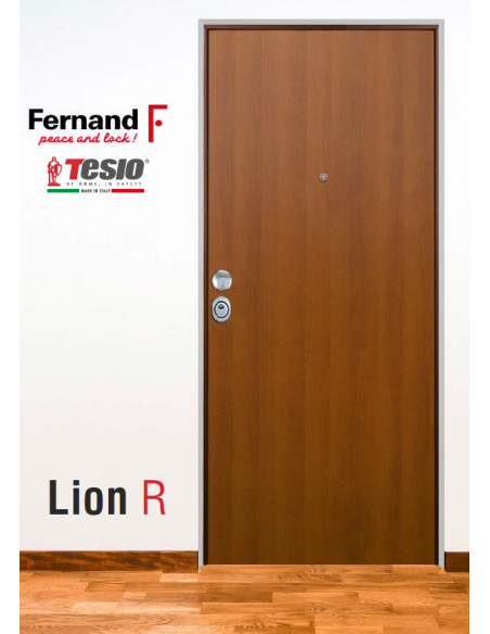 Usa de apartament blindata Lion RC 1.80, TESIO - 2