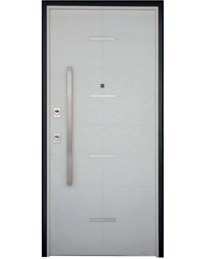 Usa profesionala blindata Plana, TESIO - 1