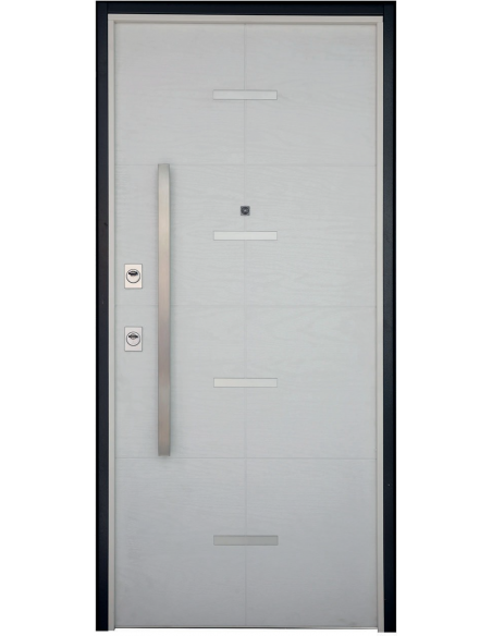 Usa profesionala blindata Plana, TESIO - 1