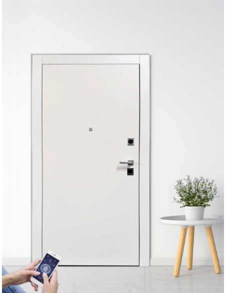 Usa profesionala blindata Plana, TESIO - 2