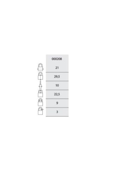 Lacat bagaj, cu cifru, Model 258, 21 mm, toarta alamita, THIRARD - 2